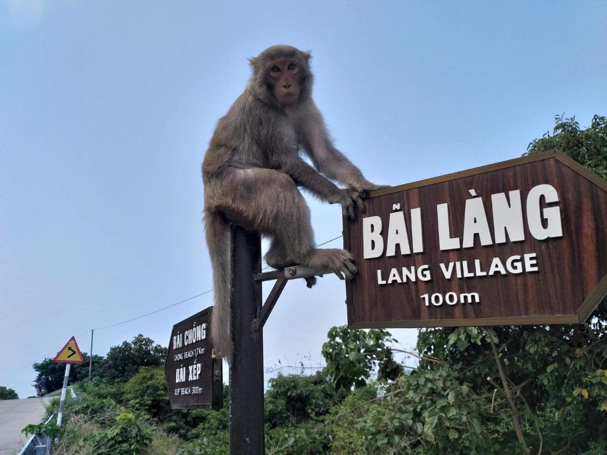 Monkeyland Cham Island Homestay Tân Hiệ Екстериор снимка